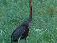 dsc1084