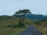 dsc1325