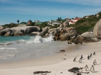 dsc1557