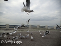2012-10-07 à 18-08-17