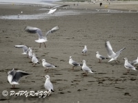 2012-10-07 à 18-18-52