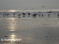2012-10-07 à 18-37-25