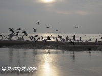 2012-10-07 à 18-40-57
