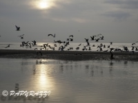 2012-10-07 à 18-40-58
