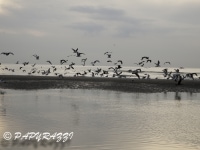 2012-10-07 à 18-40-59