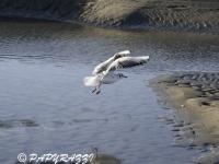 2014-01-11 à 16-14-18 (1)