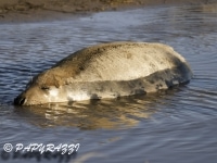 _DSC1472