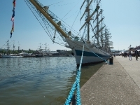 dsc8477