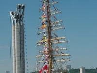 dsc8604