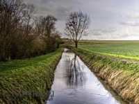 _DSC6726_tonemappé