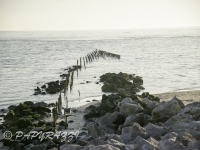 _DSC5506