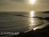 _DSC5509
