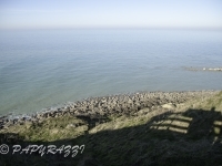_DSC5552