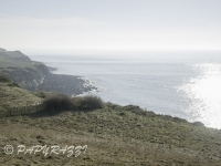 _DSC5559