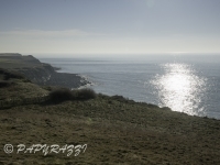 _DSC5561