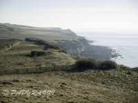 _DSC5562