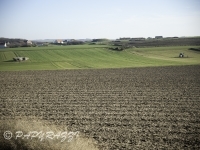 _DSC5564
