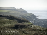 _DSC5566