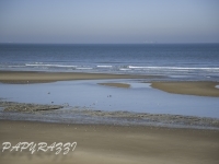 _DSC5578