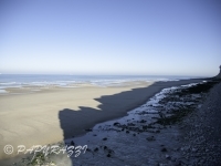 _DSC5579