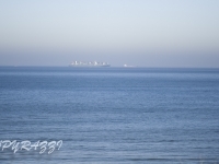 _DSC5581