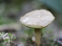 _DSC3749