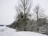 _DSC5191