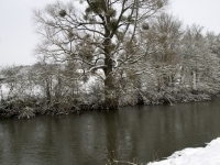 _DSC5220