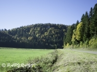 _DSC0761