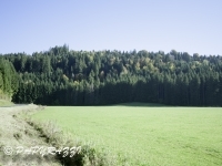 _DSC0763