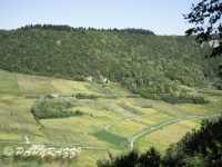 _DSC0769