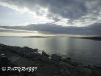 _DSC0014