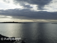 _DSC0017