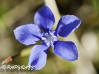 _DSC0224