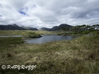 _DSC0447