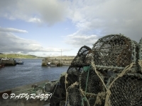 _DSC0476