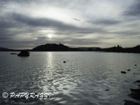 _DSC0491