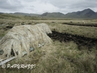 _DSC0536