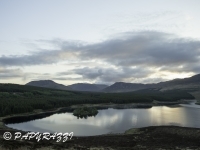 _DSC0550
