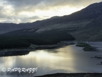 _DSC0555