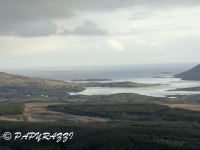 _DSC0567