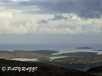 _DSC0569