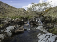 _DSC0635