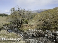 _DSC0640