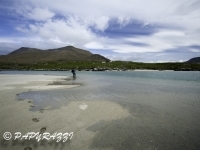 _DSC0656