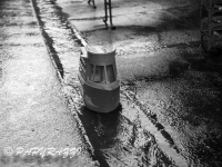 _DSC7774