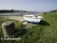 2012-03-25 à 11-13-52