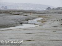 2012-03-25 à 11-24-11