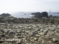 2012-03-26 à 14-29-57