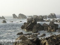 2012-03-26 à 18-20-42